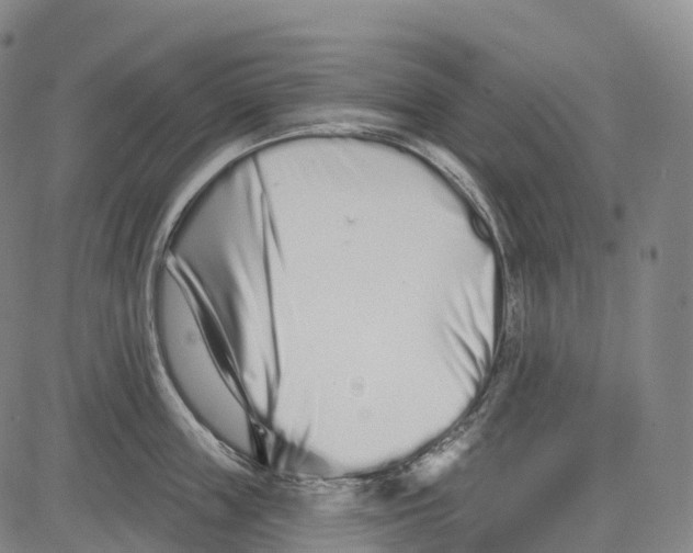 X0000081420859200702021626