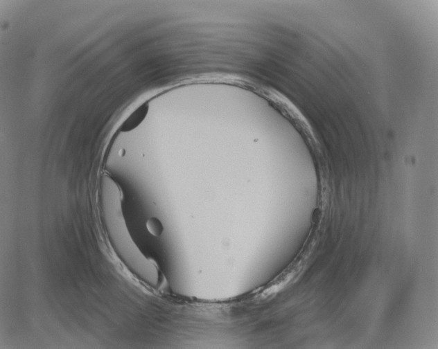 X0000081420860200702021626