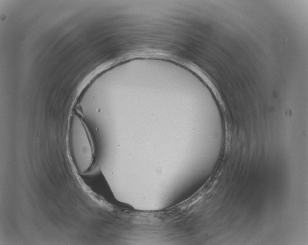 X0000081420861200702021626