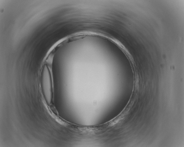 X0000081420862200702021626