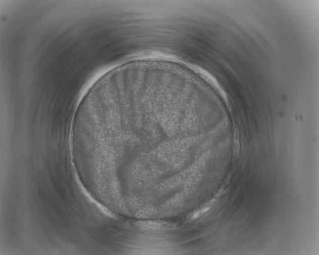 X0000081420863200702021626