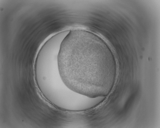 X0000081420864200702021626