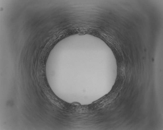 X0000081420865200702021625