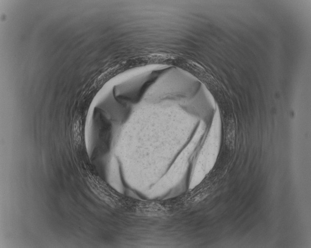 X0000081420866200702021625