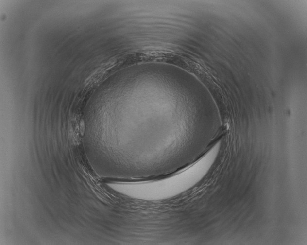 X0000081420868200702021625