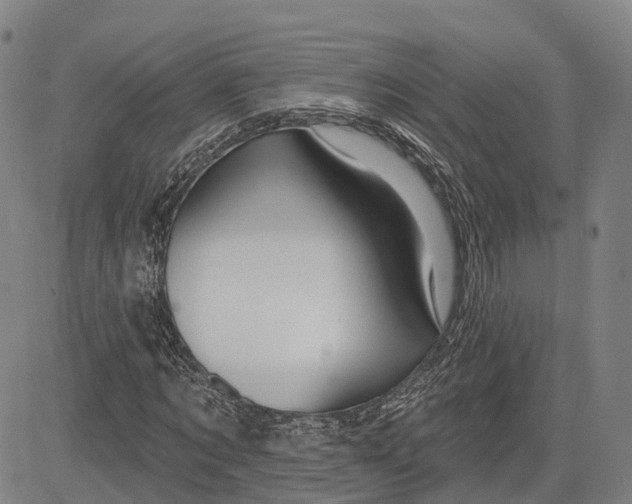 X0000081420869200702021625