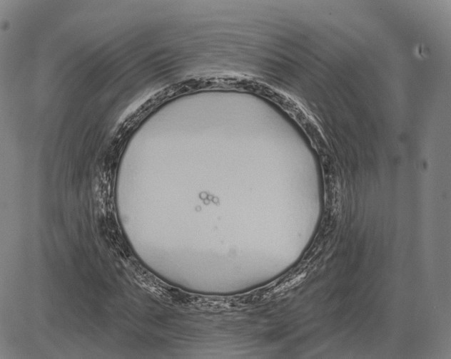 X0000081420871200702021625