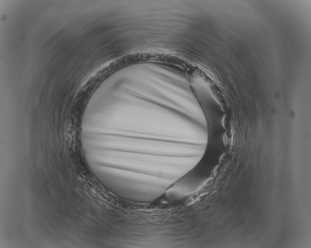 X0000081420872200702021625