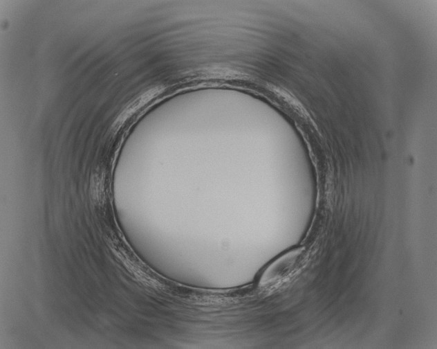 X0000081420873200702021625