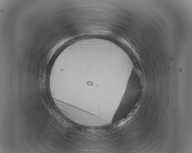 X0000081420875200702021625