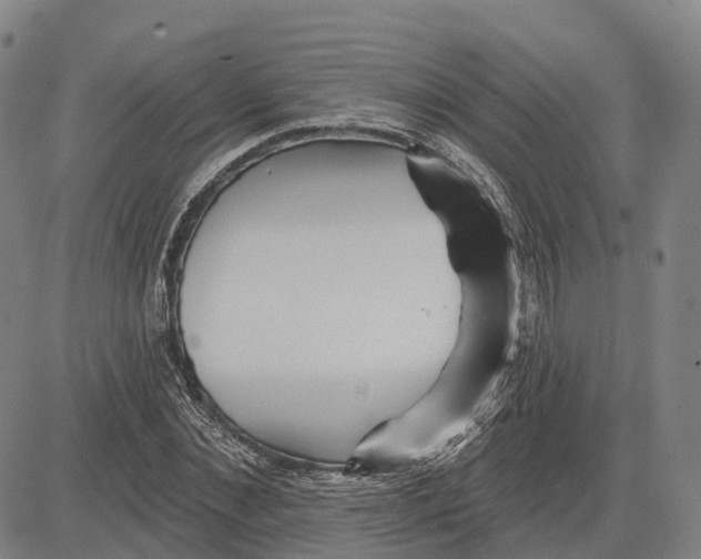 X0000081420876200702021625