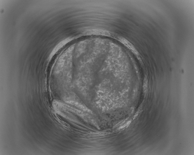 X0000081420877200702021625