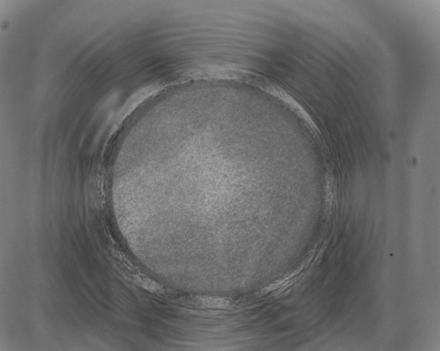 X0000081420878200702021625