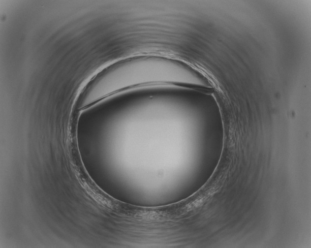 X0000081420880200702021625