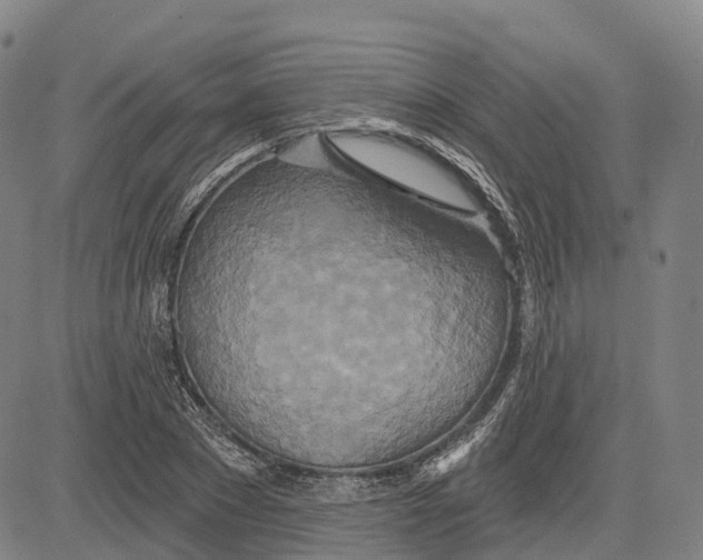 X0000081420881200702021625