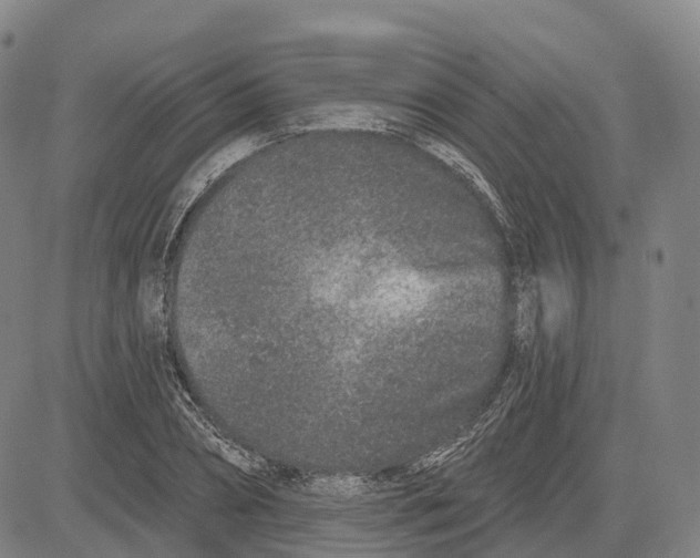 X0000081420882200702021625