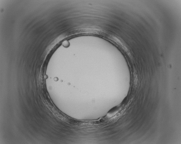 X0000081420883200702021625