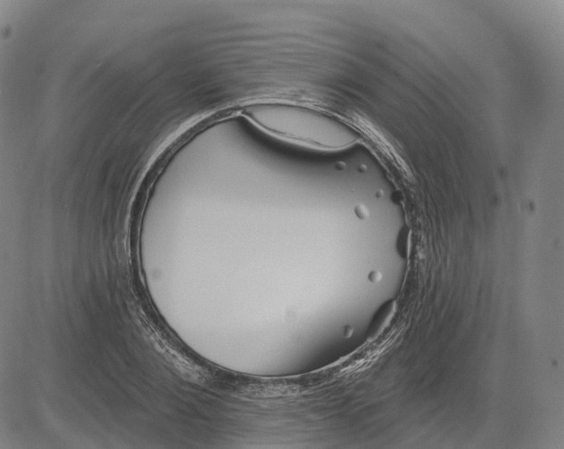 X0000081420884200702021625