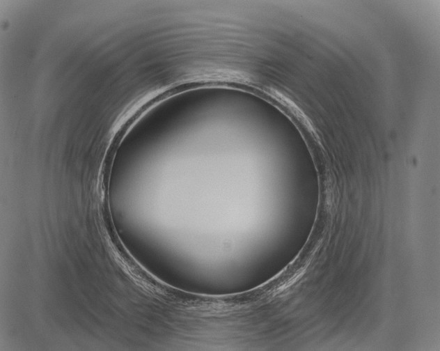 X0000081420885200702021625