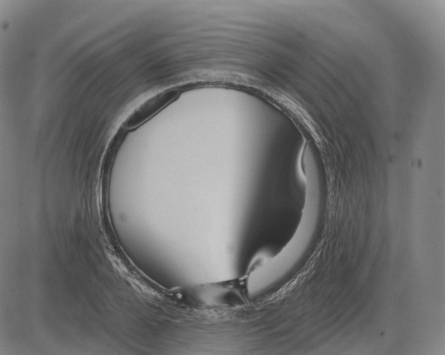 X0000081420888200702021624