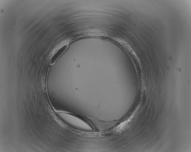 X0000081420889200702021624