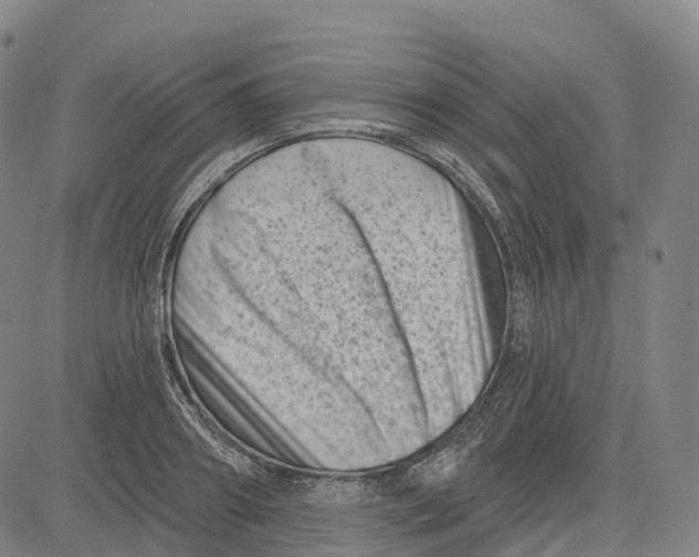 X0000081420890200702021624