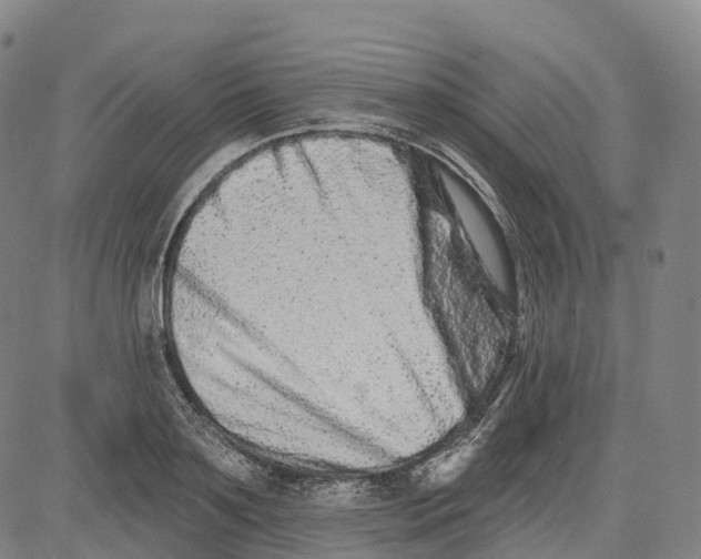 X0000081420891200702021624