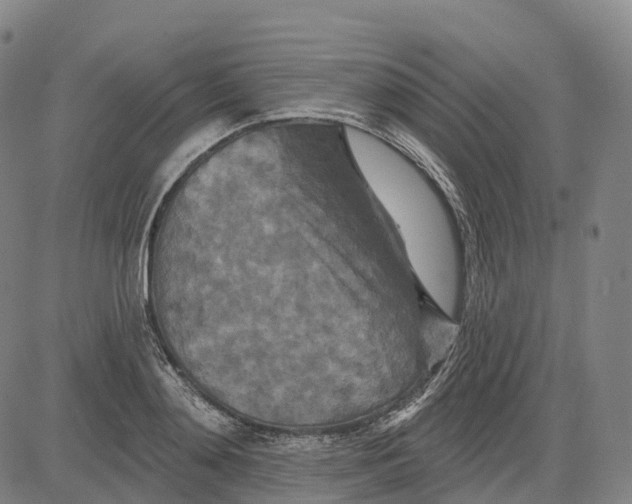 X0000081420892200702021624