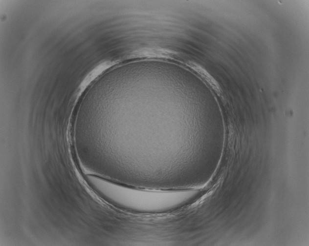 X0000081420893200702021624