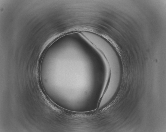 X0000081420894200702021624