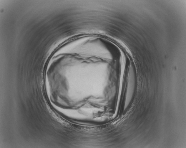 X0000081420895200702021624