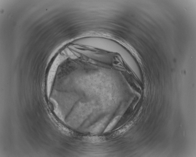 X0000081420896200702021624