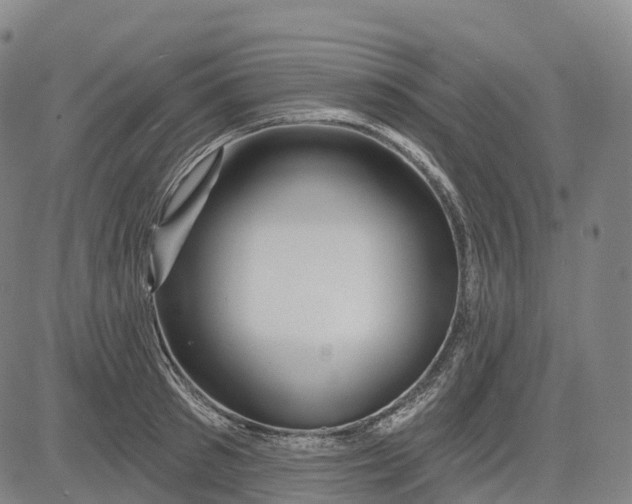 X0000081420897200702021624