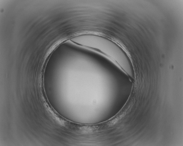 X0000081420898200702021624