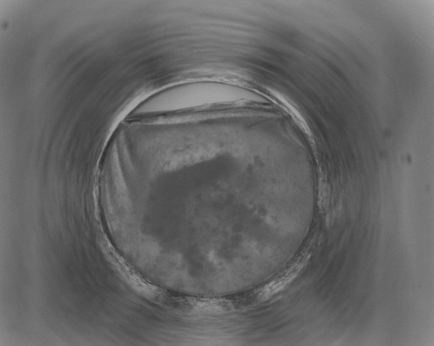 X0000081420899200702021624