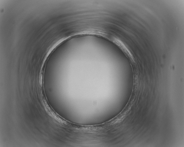 X0000081420900200702021624