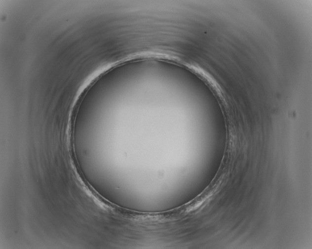 X0000081420902200702021624