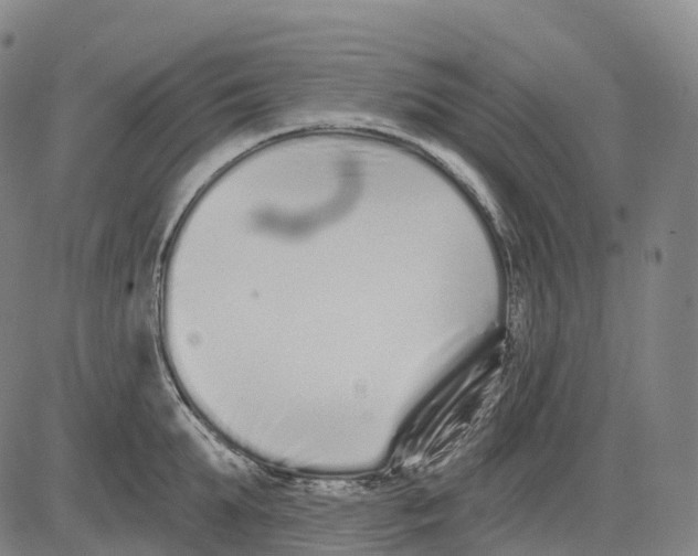 X0000081420903200702021624