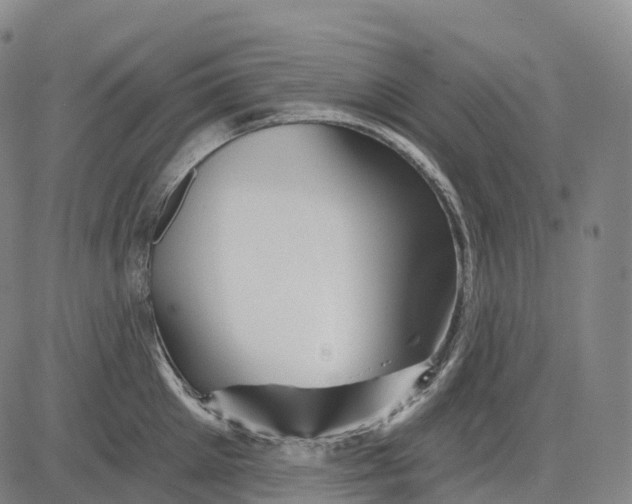 X0000081420905200702021624