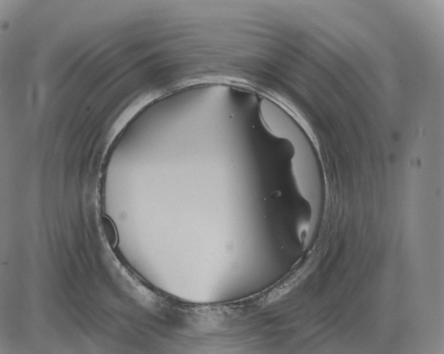 X0000081420906200702021624