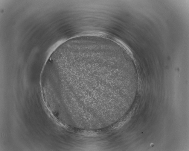 X0000081420907200702021624