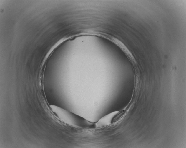 X0000081420908200702021624