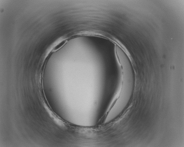 X0000081420909200702021624