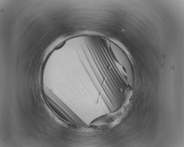 X0000081420910200702021624