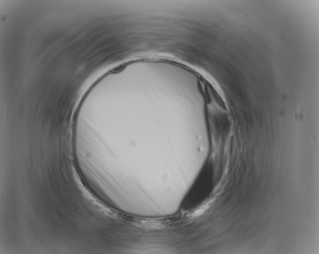 X0000081420911200702021624