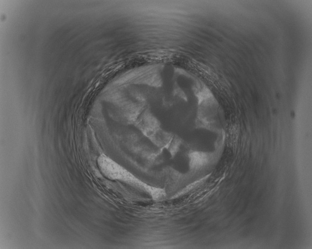 X0000081420913200702021623