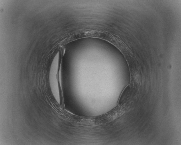 X0000081420914200702021623