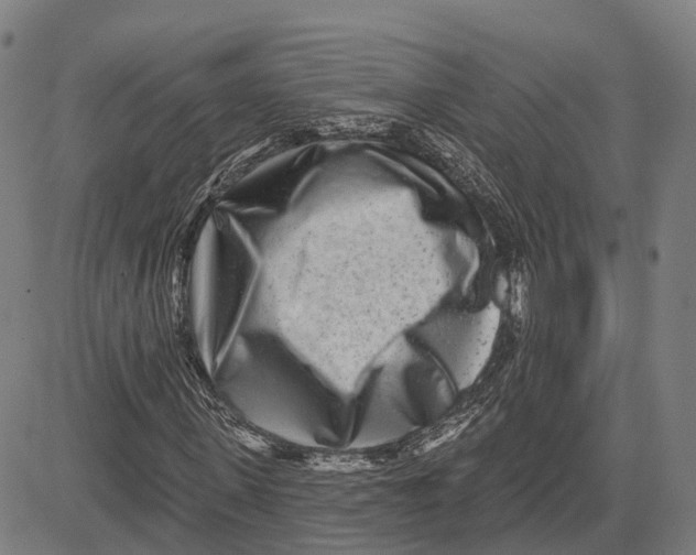 X0000081420915200702021623