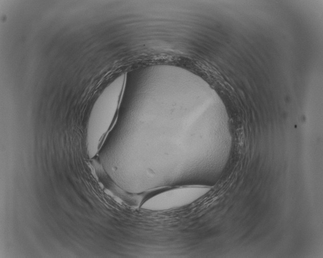 X0000081420916200702021623