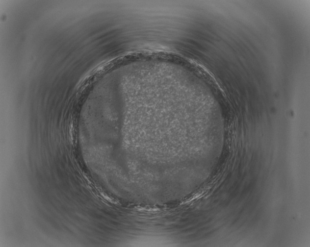 X0000081420919200702021623